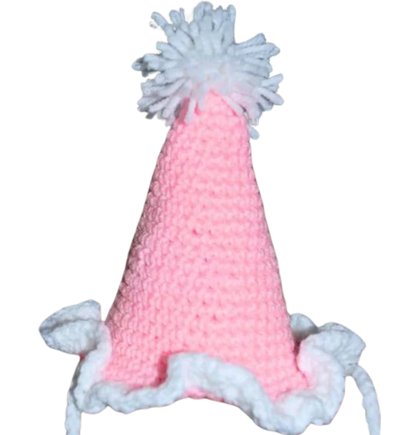 crochet party hat 