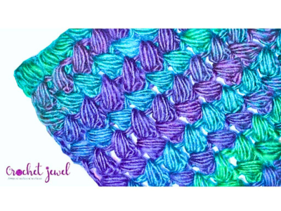 crochet braided stitch 
