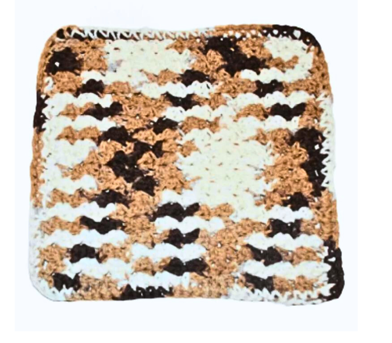 Crochet a Simple Shell Dishcloth