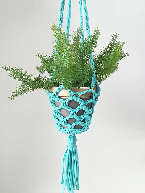 Crochet Plant Creations