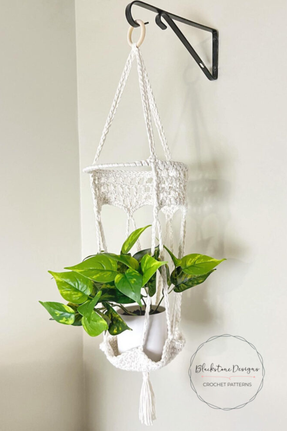 Crochet Plant Creations