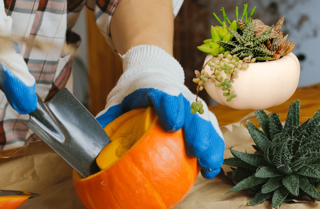 Fall Crafts for Adults