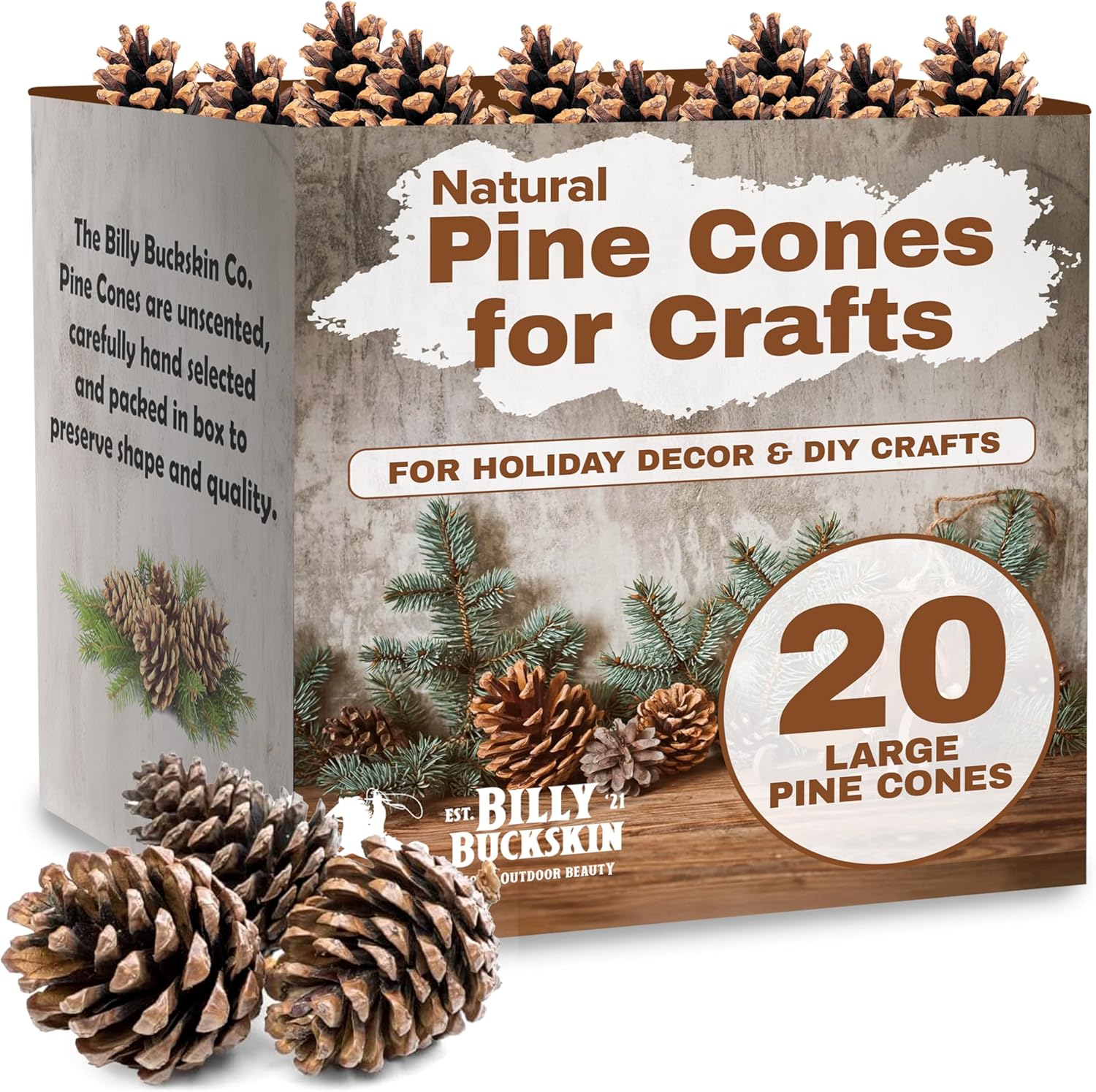 Natural Pine Cones for Crafts